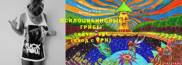 a pvp Балахна